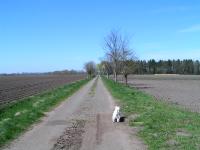 Klik op de foto voor groter formaat